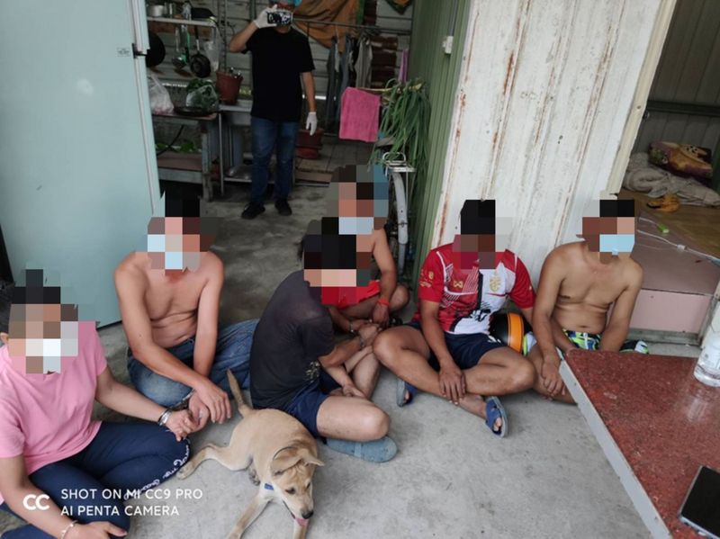 Cảnh sát Bình Đông bắt giữ 6 lao động ngước ngoài tụ tập trồng cần sa