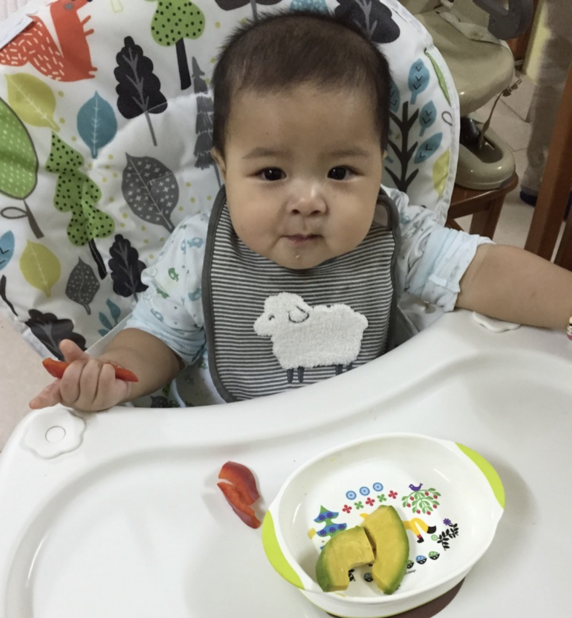 Cùng con - Hiểu đúng về ăn dặm