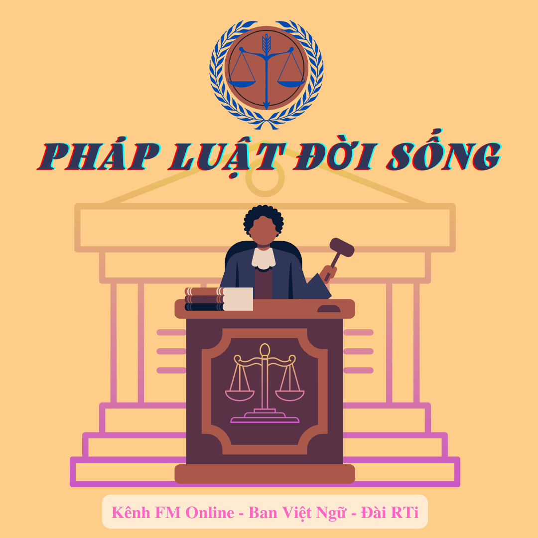 [Pháp luật đời sống - Tập 47] Các khóa học và hoạt động dành cho di dân mới và con em của di dân mới