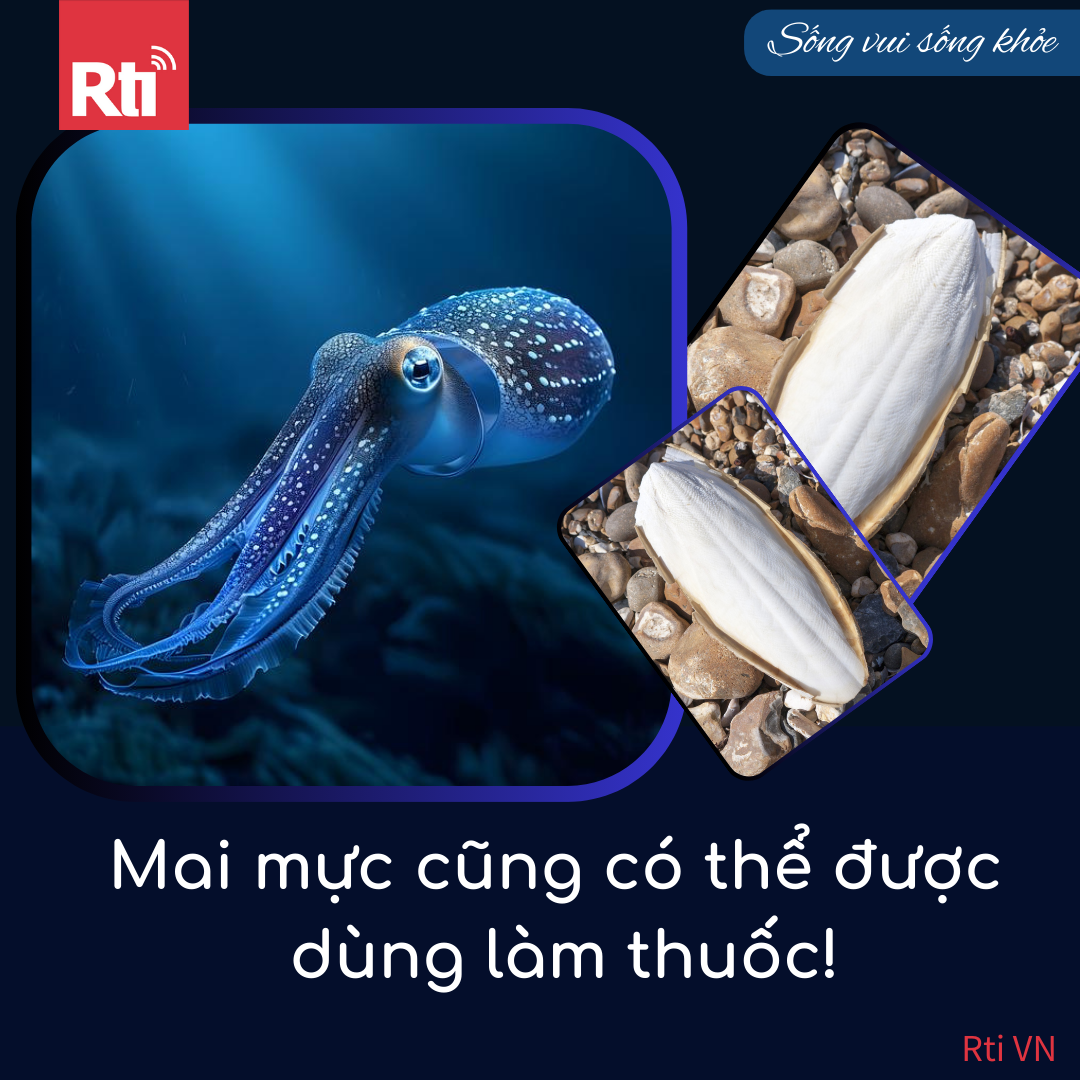 Khám phá Đài Loan