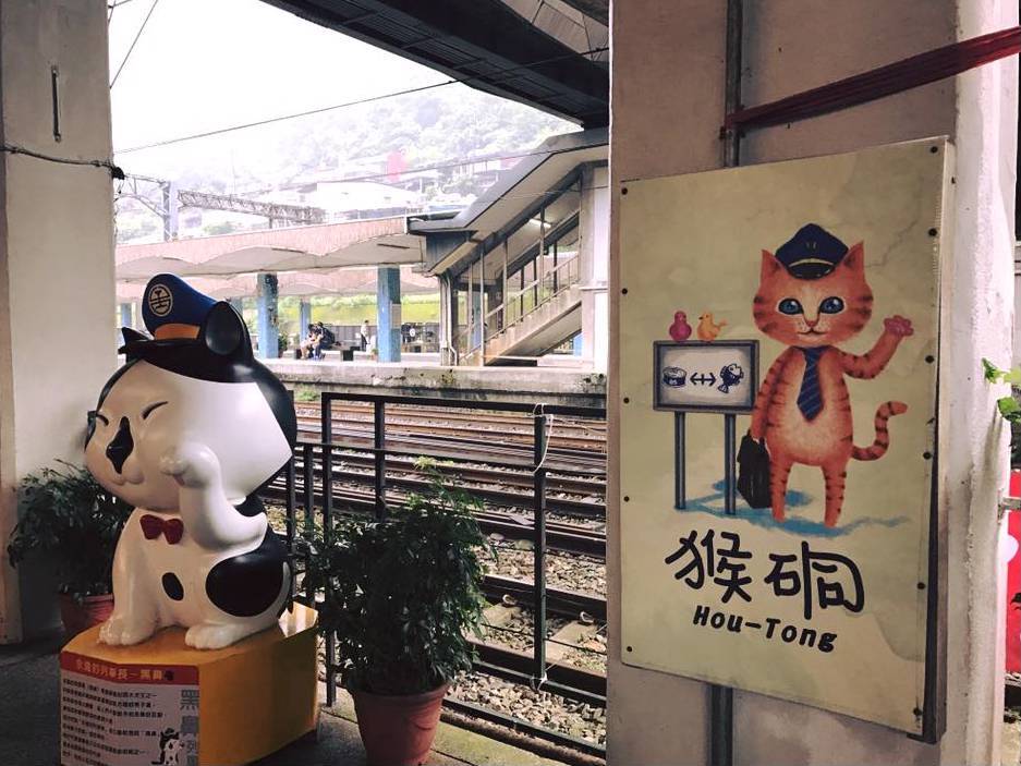 Điểm hẹn văn hóa -Đến thăm làng mèo Houdong