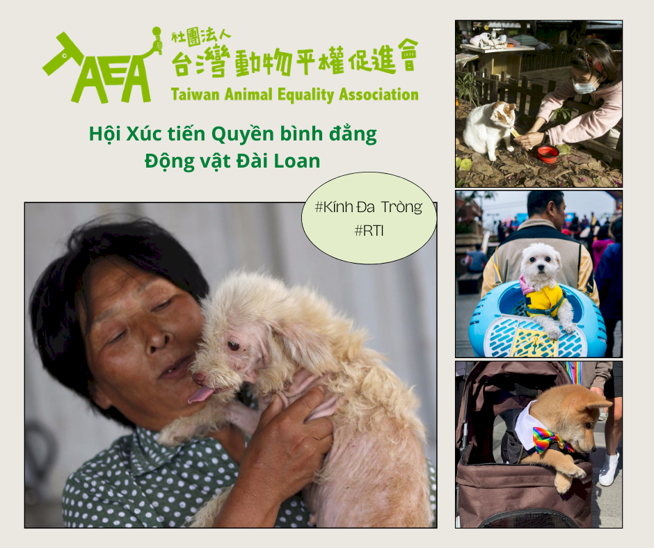Người Đài Loan thích nuôi thú cưng như thế nào?