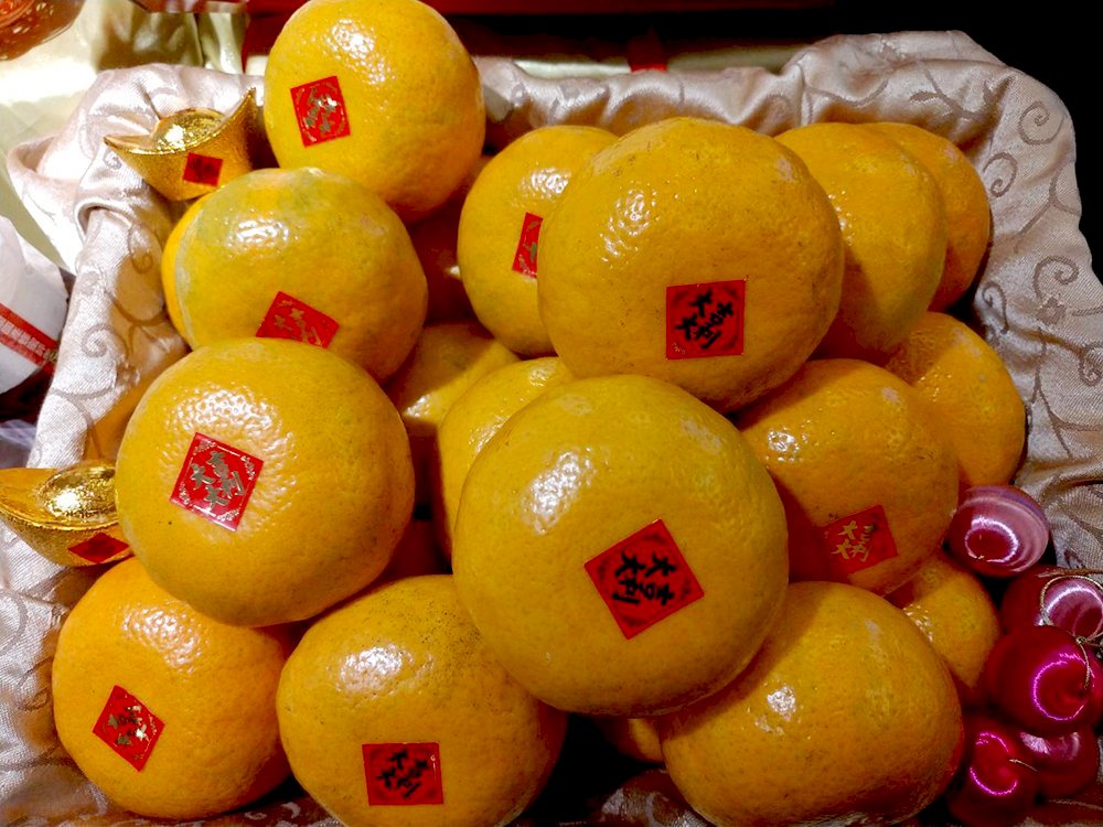 Mưa dầm tháng 3 kéo dài khiến cam quýt Vân Lâm có tỷ lệ kết trái thấp, Ủy ban Nông nghiệp cam kết sẽ có cứu trợ kinh tế vào tháng 6