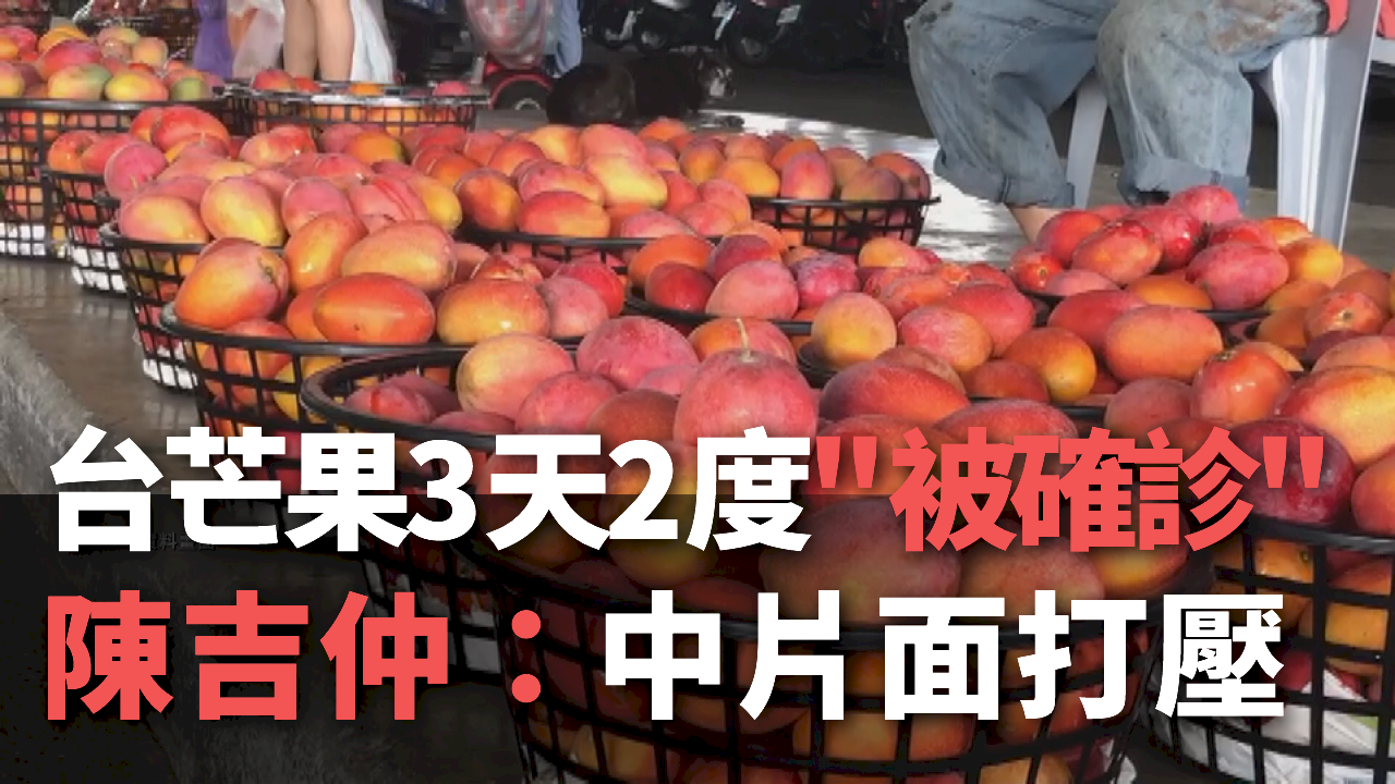 Sau 15/6 không có xoài Đài Loan xuất khẩu sang Macau, ông Trần Cát Trọng: chỉ có người mới nhiễm Covid-19