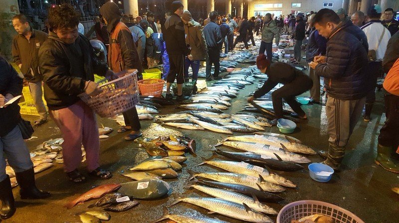 Văn hóa đấu giá cá trong chợ cá
