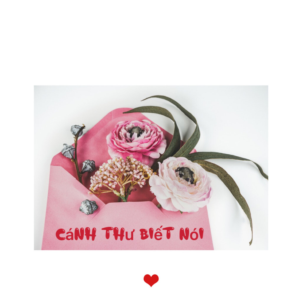 Nhịp cầu giao lưu trả lời thư thính giả