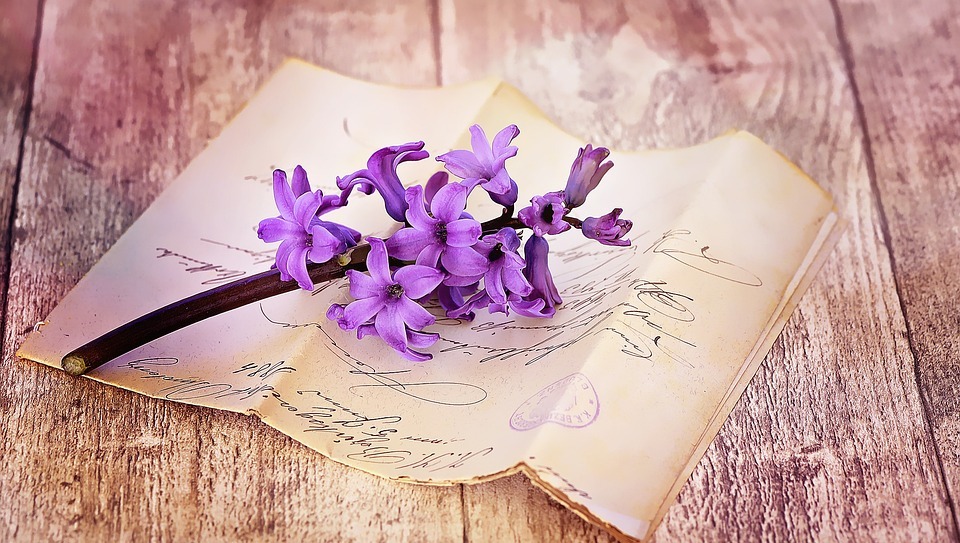 Nhịp cầu giao lưu trả lời thư thính giả