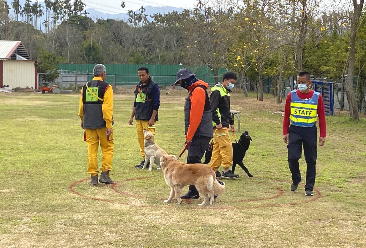Sở Phòng cháy chữa cháy Đài Loan tổ chức kỳ sát hạch quốc tế dành cho chó cứu hộ