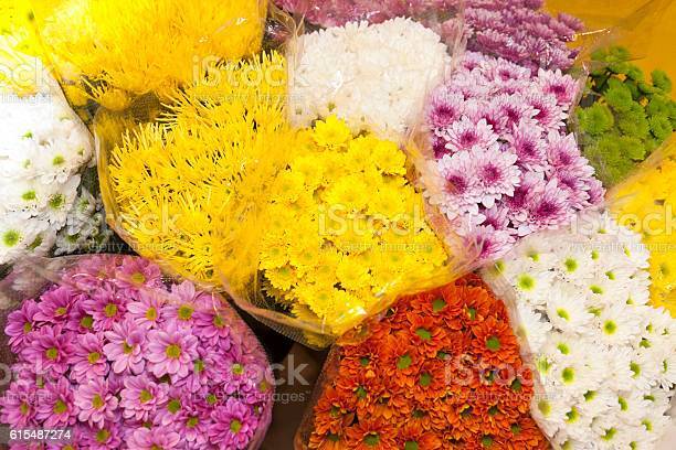 Hải đảo đáng yêu - Đi dạo chợ hoa Đài Bắc
