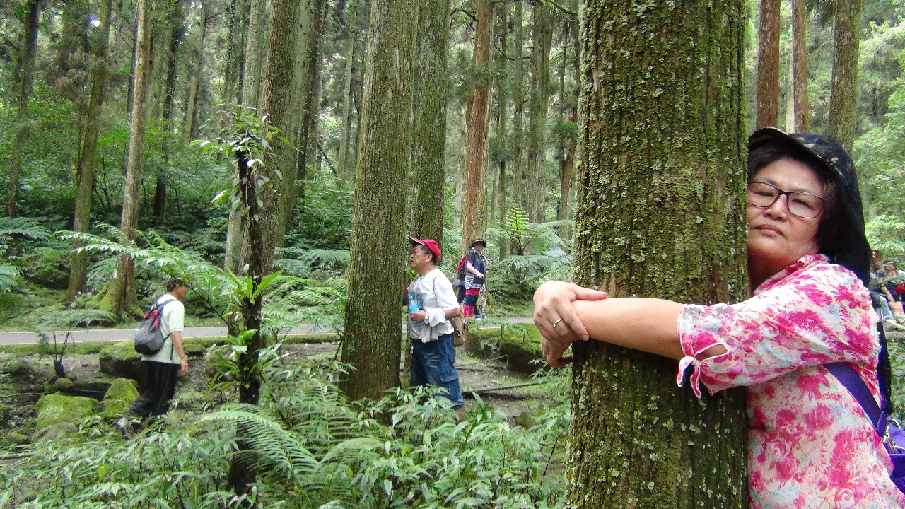 Chuyên viên liệu pháp rừng đưa người dân vào rừng cảm thụ vẻ đẹp núi rừng, cải thiện tình trạng sức khỏe. (Hình do