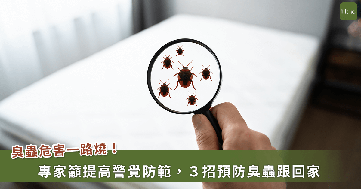 Nhật, Hàn xuất hiện 