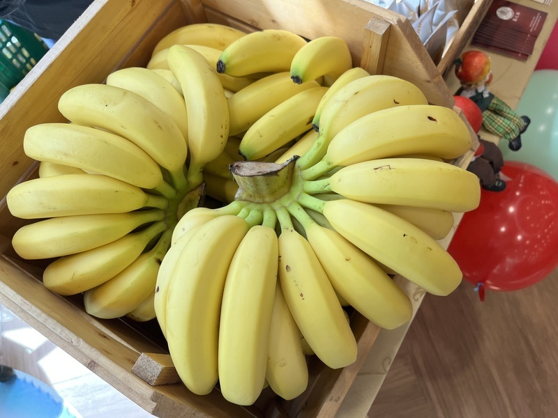 Giá chuối vẫn tăng cao. Bộ Nông nghiệp: Khôi phục canh tác và phát triển các giống chuối lùn để chịu được gió mạnh