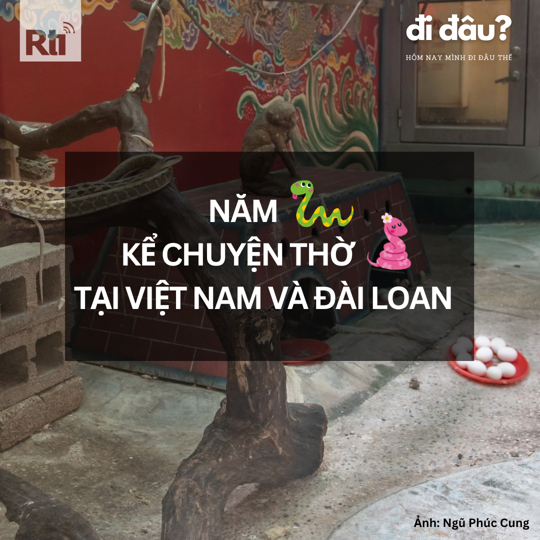 [Hôm nay mình đi đâu thế? - Tập 121]  Năm rắn kể về chuyện thờ rắn tại Việt Nam và Đài Loan