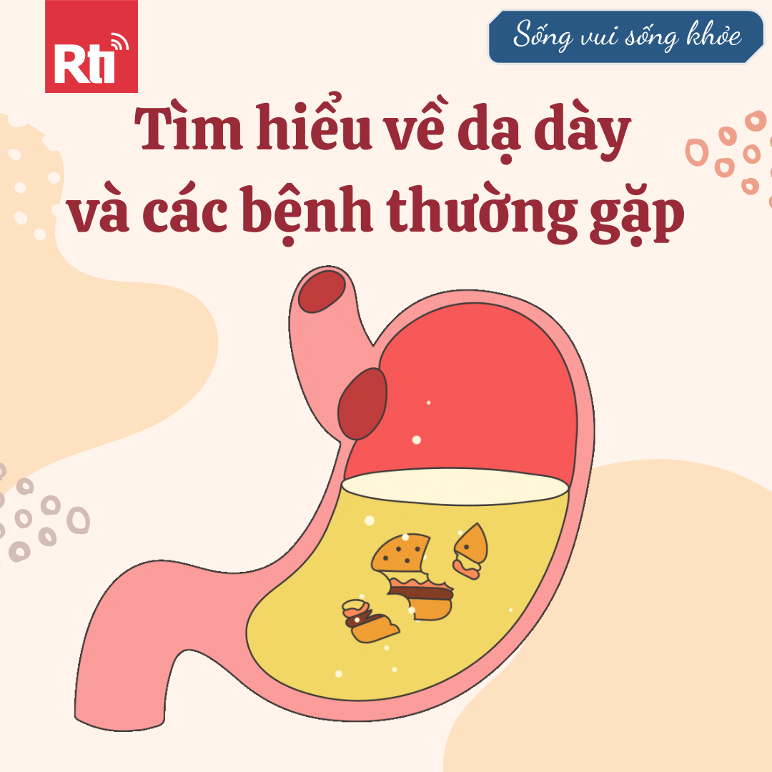[Sống vui sống khỏe - Tập 127] Tìm hiểu về dạ dày và các bệnh thường gặp